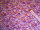 Jersey mit Streublumen lila