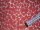 Jeans Hosen Jacken Stoff natur Blumen koralle